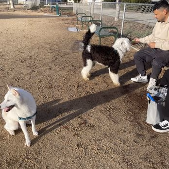 Franich Dog Park
